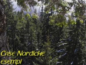Scarica il file case_nordiche-esempi.pdf (italiano)