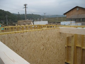 struttura case (7)